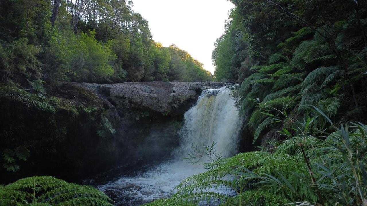 Lodge Parque Tepuhueico Castro Eksteriør billede