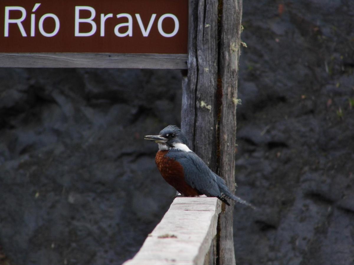 Lodge Parque Tepuhueico Castro Eksteriør billede