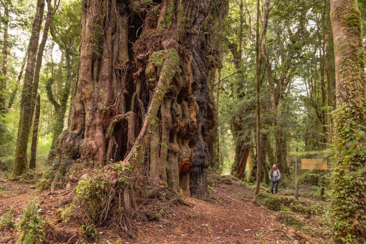 Lodge Parque Tepuhueico Castro Eksteriør billede